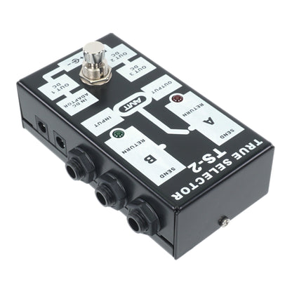 AMT TS-2 — A/B channel/pedal passive selector