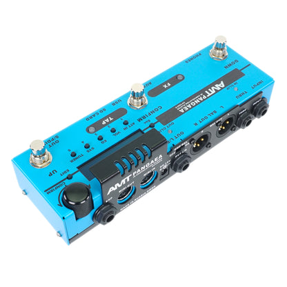 AMT Pangaea CP-100FX - IR Convolution Player (CAB.Sim / Effect processor) (+ power supply 12V with EU plug included!)