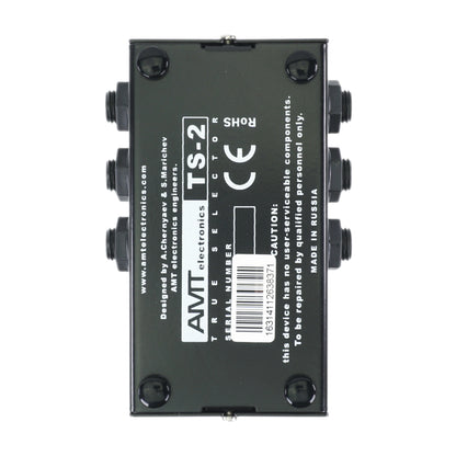 AMT TS-2 — A/B channel/pedal passive selector